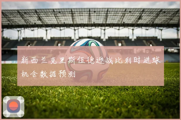 新西兰克里斯伍德迎战比利时进球机会数据预测